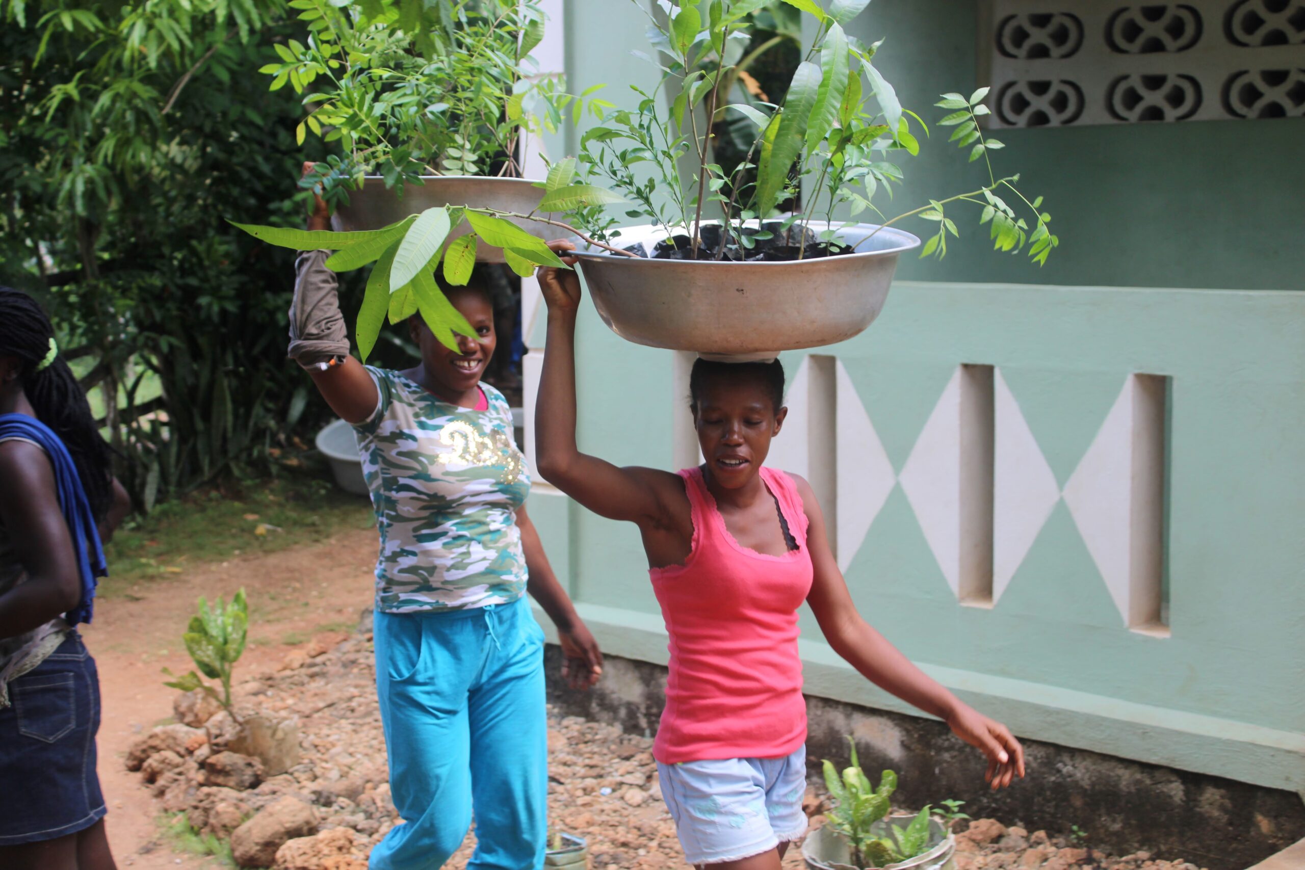 Les femmes rurales en première ligne dans la lutte aux changements climatiques en Haïti