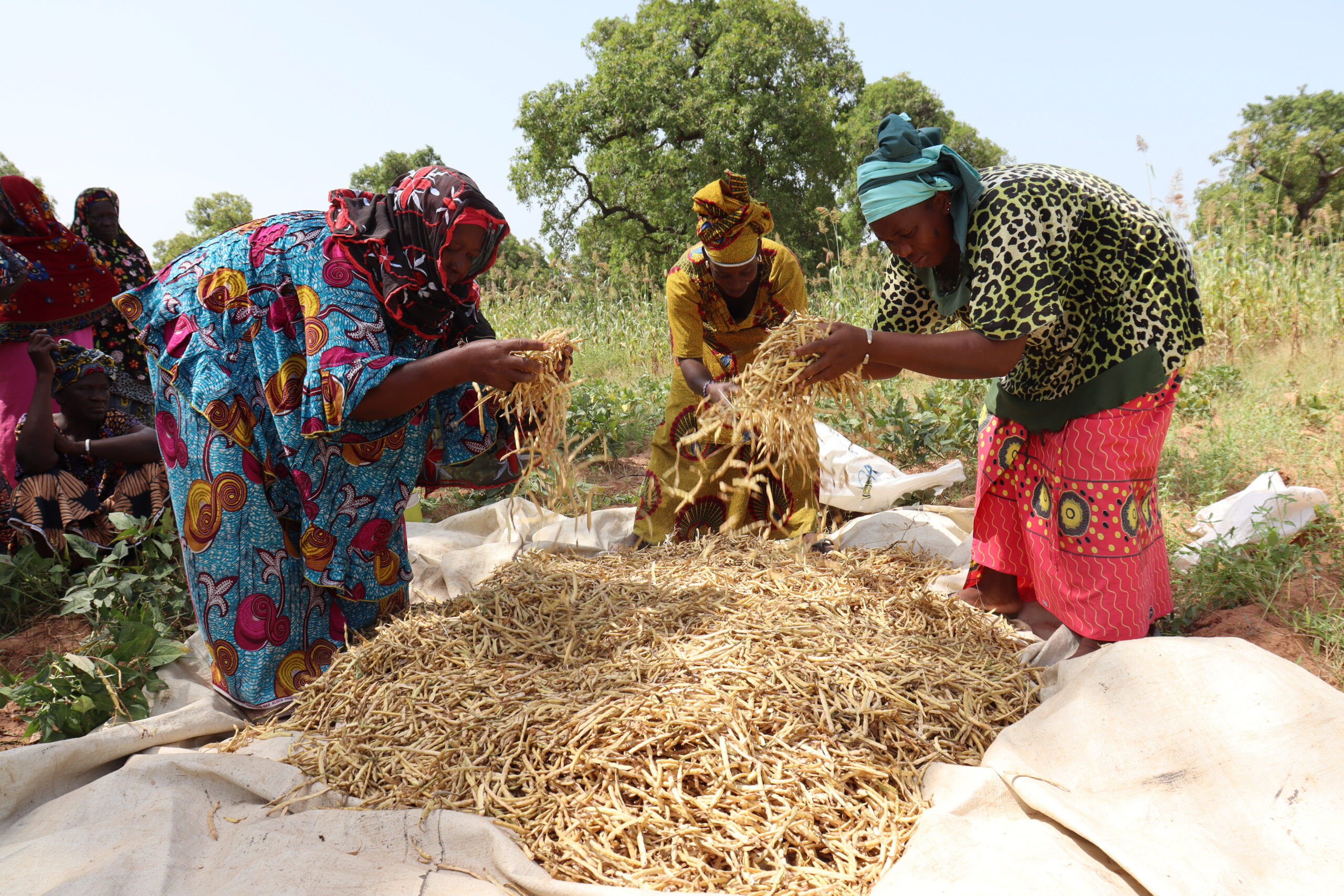 Journée mondiale de l’alimentation : l’engagement de SOCODEVI