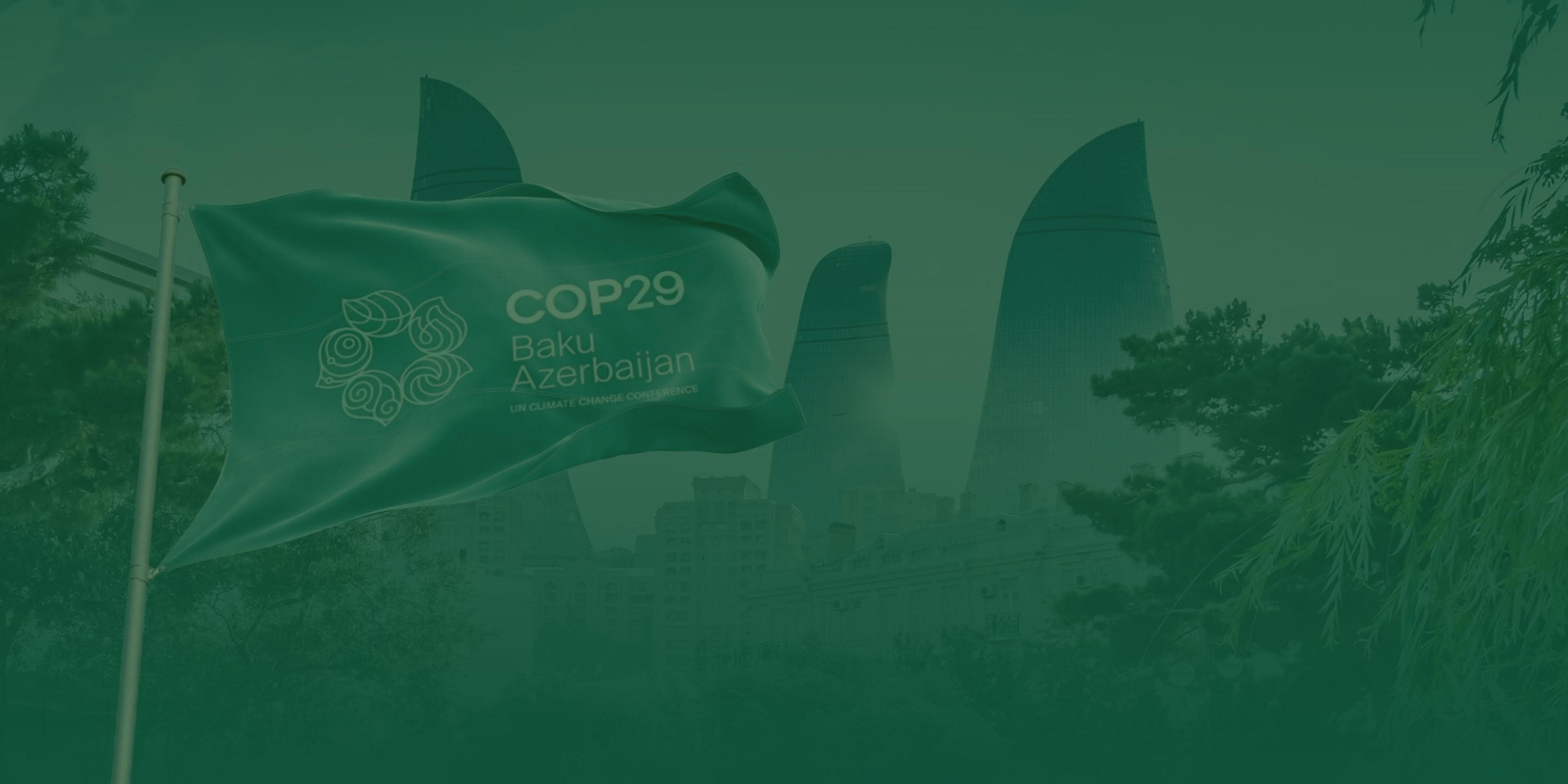 COP29: 5 things you need to know